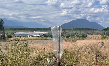 Los Palo Blanco Montemorelos