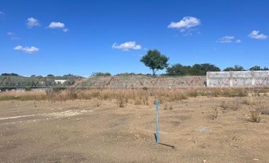 Los Palo Blanco Montemorelos