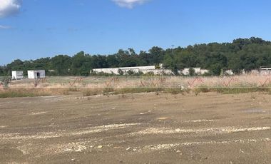 Los Palo Blanco Montemorelos