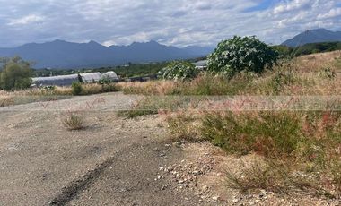 Los Palo Blanco Montemorelos