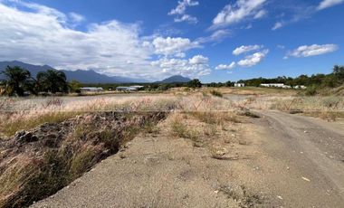 Los Palo Blanco Montemorelos
