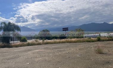 Los Palo Blanco Montemorelos