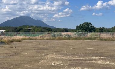 Los Palo Blanco Montemorelos