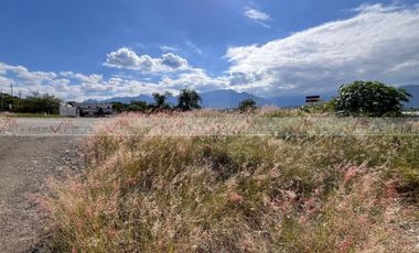 Los Palo Blanco Montemorelos