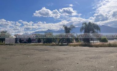 Los Palo Blanco Montemorelos