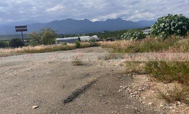 Los Palo Blanco Montemorelos