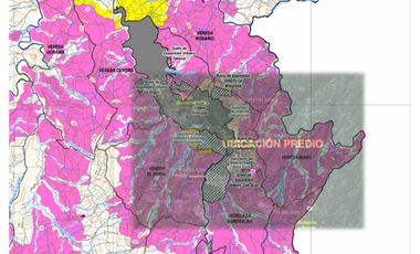 Gran terreno para desarrollo Inmobiliario, lotes campestres, La Vega
