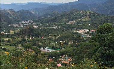 Gran terreno para desarrollo Inmobiliario, lotes campestres, La Vega