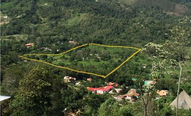 Gran terreno para desarrollo Inmobiliario, lotes campestres, La Vega