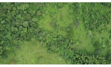 Gran terreno para desarrollo Inmobiliario, lotes campestres, La Vega