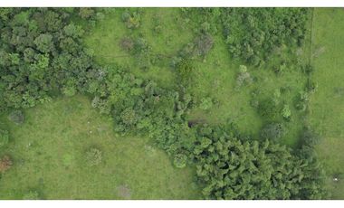 Gran terreno para desarrollo Inmobiliario, lotes campestres, La Vega