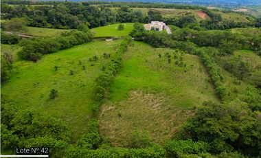 VENTA GRANDIOSOS LOTES DE 1 HECTAREA EN CERRITOS PEREIRA