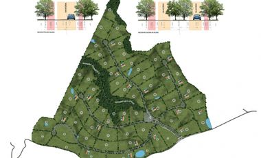 VENTA GRANDIOSOS LOTES DE 1 HECTAREA EN CERRITOS PEREIRA