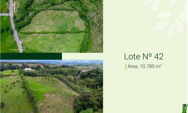 VENTA GRANDIOSOS LOTES DE 1 HECTAREA EN CERRITOS PEREIRA