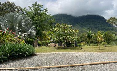 VENTA DE FINCA VENECIA SUROESTE ANTIOQUEÑO.