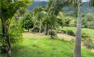 VENTA DE FINCA VENECIA SUROESTE ANTIOQUEÑO.
