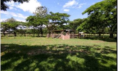VENTA LOTE EN LA DOLORES CAUCASECO