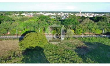 SE VENDE LOTE PARA USO MIXTO FRENTE COLEGIO BRAULIO GONZALEZ CAM