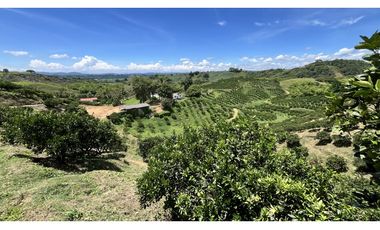 VENTA DE FINCA EN BUENAVISTA, QUINDO, COLOMBIA