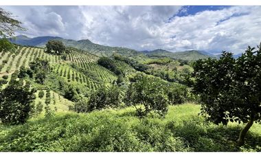 VENTA DE FINCA EN BUENAVISTA, QUINDO, COLOMBIA