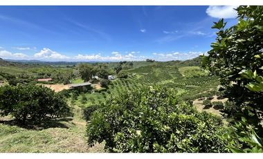 VENTA DE FINCA EN BUENAVISTA, QUINDO, COLOMBIA