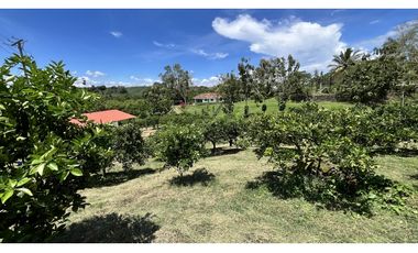 VENTA DE FINCA EN BUENAVISTA, QUINDO, COLOMBIA