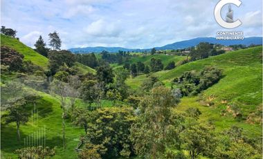 VENTA DE CASA FINCA EN PARAJE CUARTAS, VEREDA LA CHINA - BELLO