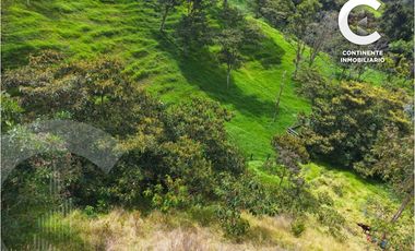 VENTA DE CASA FINCA EN PARAJE CUARTAS, VEREDA LA CHINA - BELLO