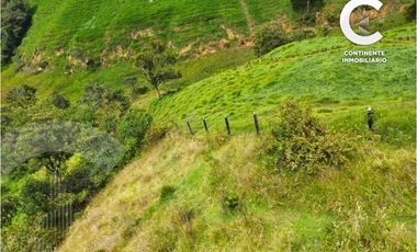VENTA DE CASA FINCA EN PARAJE CUARTAS, VEREDA LA CHINA - BELLO