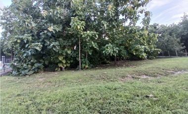 COSTA ESMERALDA / 1250M / FRENTE A VIA PRINCIPAL / CERCA DE PLAYA AG