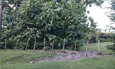 COSTA ESMERALDA / 1250M / FRENTE A VIA PRINCIPAL / CERCA DE PLAYA AG