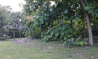 COSTA ESMERALDA / 1250M / FRENTE A VIA PRINCIPAL / CERCA DE PLAYA AG