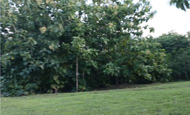 COSTA ESMERALDA / 1250M / FRENTE A VIA PRINCIPAL / CERCA DE PLAYA AG