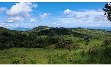 EL NANCITO DE SAN CARLOS / 20900M / VISTA AL MAR / TERRENO ONDULADO AG