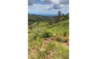 EL NANCITO DE SAN CARLOS / 20900M / VISTA AL MAR / TERRENO ONDULADO AG