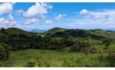 EL NANCITO DE SAN CARLOS / 20900M / VISTA AL MAR / TERRENO ONDULADO AG