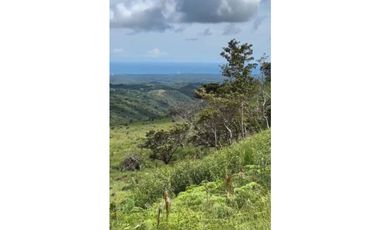 EL NANCITO DE SAN CARLOS / 20900M / VISTA AL MAR / TERRENO ONDULADO AG