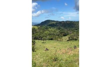 EL NANCITO DE SAN CARLOS / 20900M / VISTA AL MAR / TERRENO ONDULADO AG