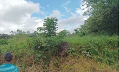 VENTA DE TERRENO EN SAJALICES CHAME PRECIO DE OPORTUNIDAD 1000M2 JP