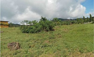 VENTA DE TERRENO EN SAJALICES CHAME PRECIO DE OPORTUNIDAD 1000M2 JP