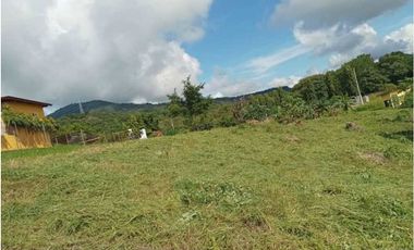 VENTA DE TERRENO EN SAJALICES CHAME PRECIO DE OPORTUNIDAD 1000M2 JP