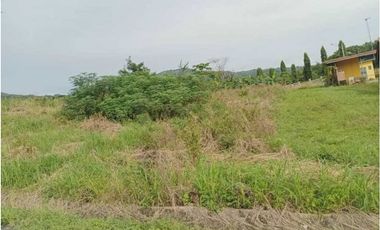 VENTA DE TERRENO EN SAJALICES CHAME PRECIO DE OPORTUNIDAD 1000M2 JP