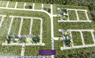 Terreno en Venta en Chicxulub Pueblo , Yucatan JL 25-644.