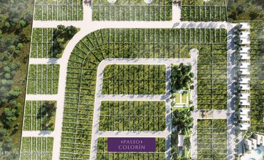 Terreno en Venta en Chicxulub Pueblo , Yucatan JL 25-644.