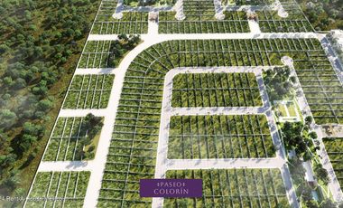 Terreno en Venta en Chicxulub Pueblo , Yucatan JL 25-644.