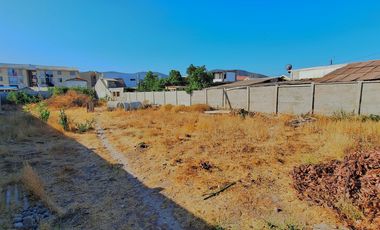 Parcela en arriendo en CALERA