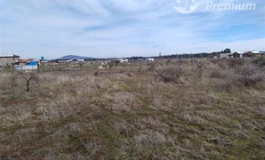 Parcela en Venta en PARCELACION LOS MAITENES