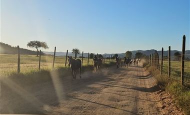Parcela en Venta en PUMANQUE REGUIÓN DE O´´ HIGGINS