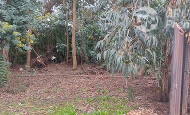 Agrícola en Venta en Sector El Milagro San Rafael