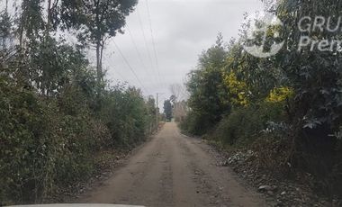 Agrícola en Venta en Sector El Milagro San Rafael